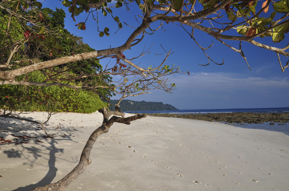 12. Plaża Radhanagar, wyspa
Havelock Island, Andamany i Nikobary