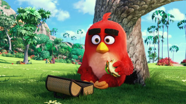 "Angry Birds": pierwszy polski zwiastun