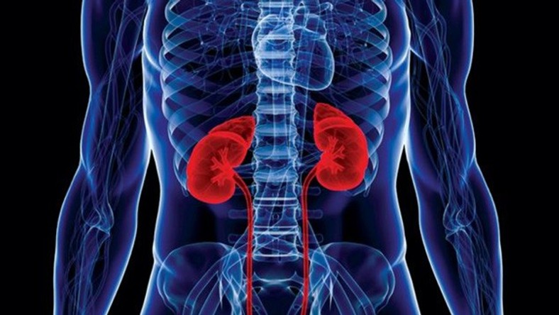 World Kidney Day 2019: 5 tips on how to keep you kidneys healthy