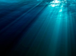 Prehistoryczne ryby widziały w kolorze