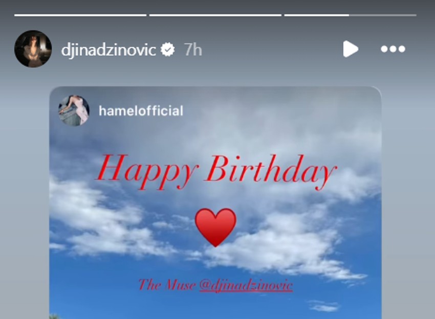 Melina se obratila Đini