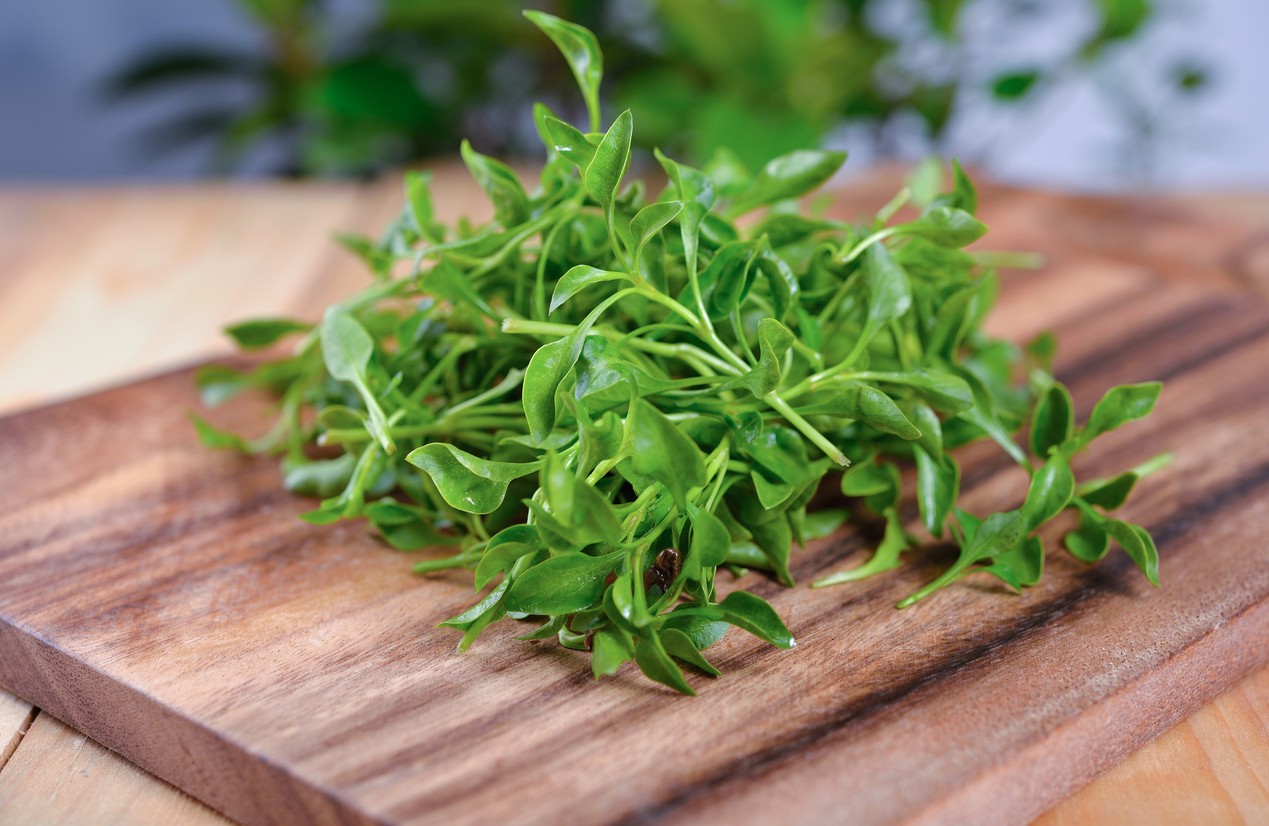 Watercress is a real "supervegetable". (illustrative photo)