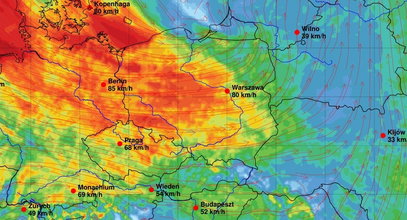 Deszcz, śnieg, bardzo silny wiatr. IMGW ostrzega przed pogodą. Prognoza przed świętami