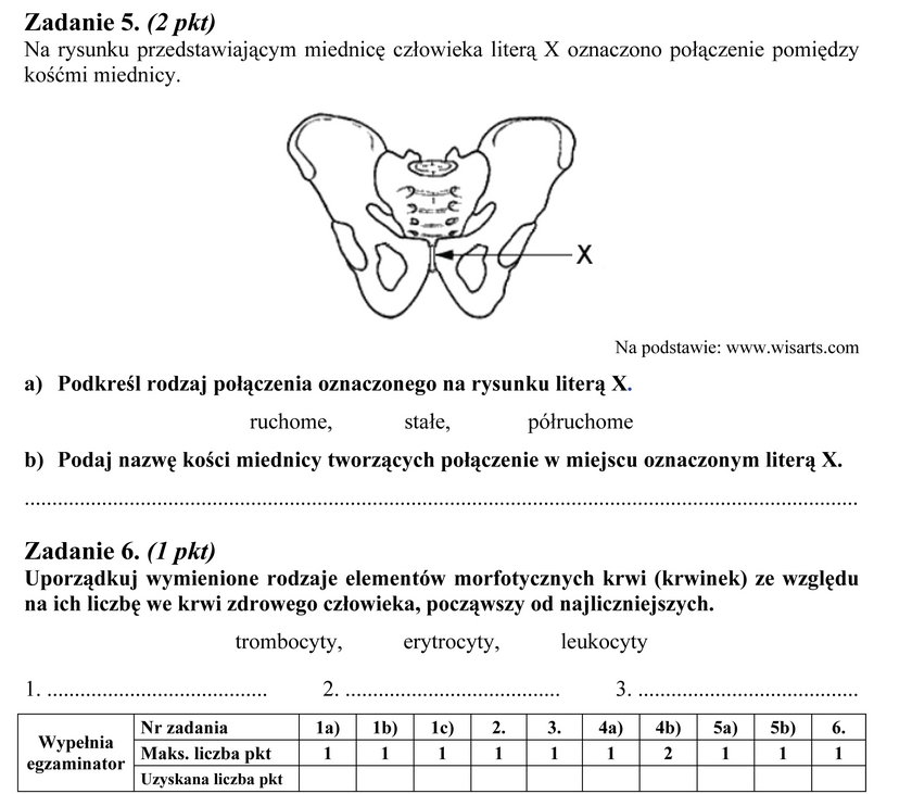 Arkusz egazminacyjny z biologii, matura 2013, zadanie 5 i 6