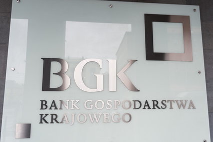 Dobry rok dla BGK. Bank zarobił ponad pół miliarda złotych