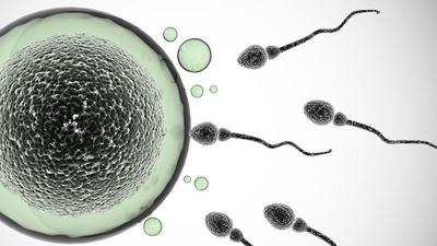 Masturbation increases the chances of fertility in males