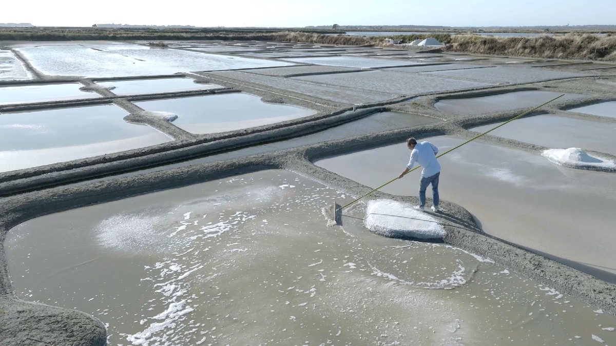 Zamienił korpo na bagna. Dziś jego sól jest najdroższa na świecie