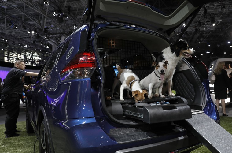 Nissan Rogue Dogue SUV