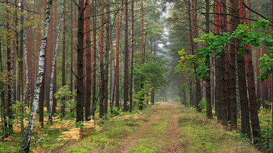 Kampinoski Park Narodowy  zamknięty