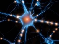 alzheimer-neuron-d000002C8f5ac25b46864
