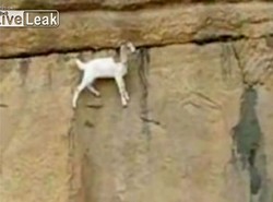 Jak pokonać gładką skalną ścinę?