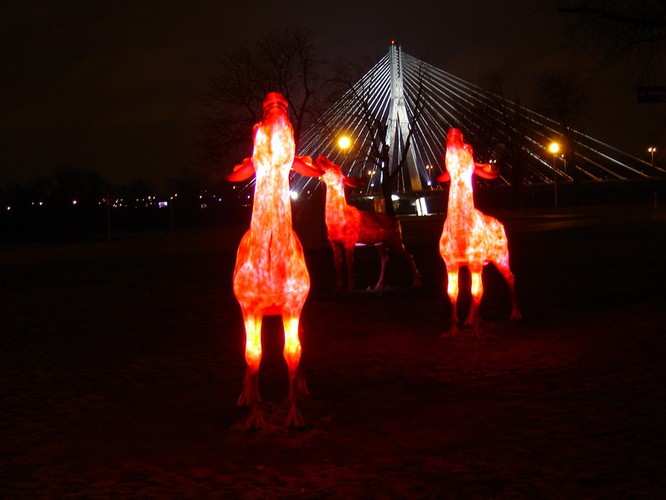 Różowe jelenie z Powiśla