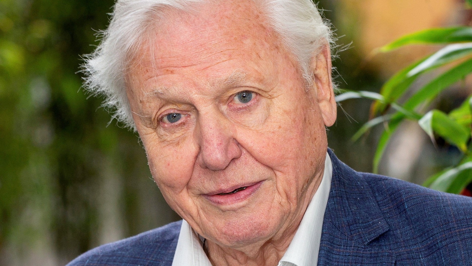 Sir David Attenborough, ktorý aj vo veku 100 rokov zostáva aktívny a svojím životným štýlom inšpiruje milióny ľudí po celom svete. 