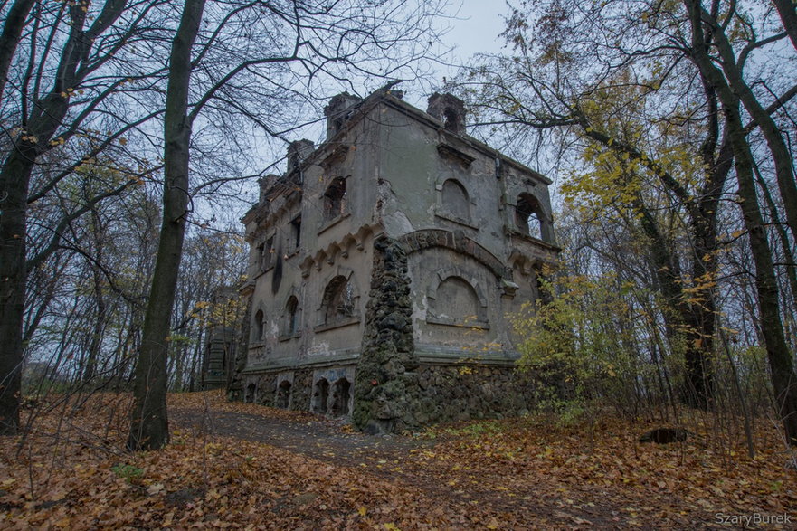 Ruiny pałacu Moesów w Wierbce
