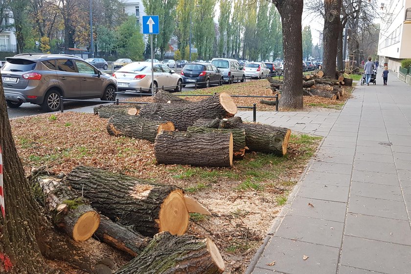 Wielka rzeź na Mickiewicza