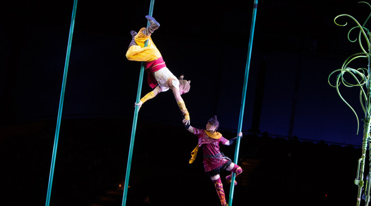 Újrastrukturálná az adósságállományát a Cirque du Soleil /Fotó: Northfoto