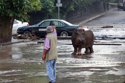 GEORGIA FLOOD