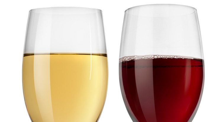 Fedezzük fel a jó borokat /Fotó: Shutterstock