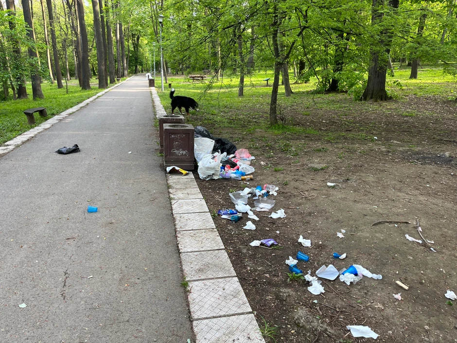Suprotno očekivanjima, najveće ukupne količine mikroplastike izmerene su u šumi. 