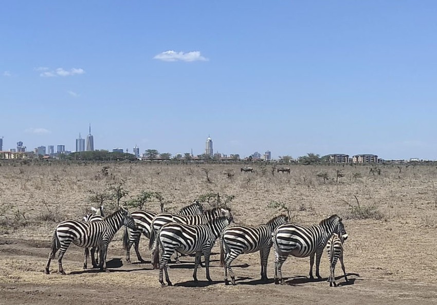 najrobi-kenija-nacionalni-park
