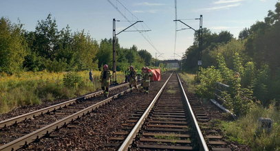 Makabryczna śmierć nastolatki z Dąbrowy Górniczej. Znaleźli ją na torach