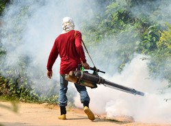 WHO apeluje o pomoc w walce z malarią