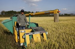 Postindustrialna Korea Płd. zachwyciła się powrotem na wieś