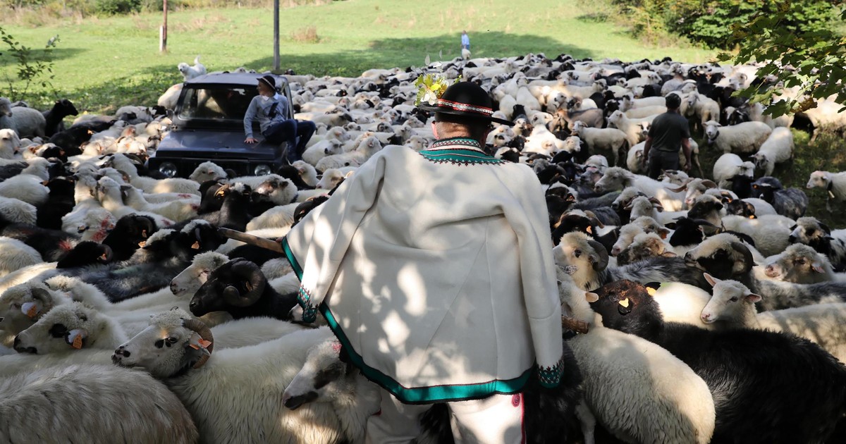Turyści szturmują Podhale. Tam góralska tradycja jest wciąż żywa i przyciąga tłumy z całej Polski