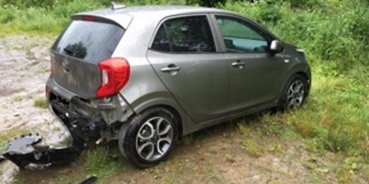 Niedźwiedź zdewastował auto turystów. Zostawili tam jedzenie