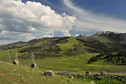 Galeria USA - Park Narodowy Yellowstone, obrazek 2