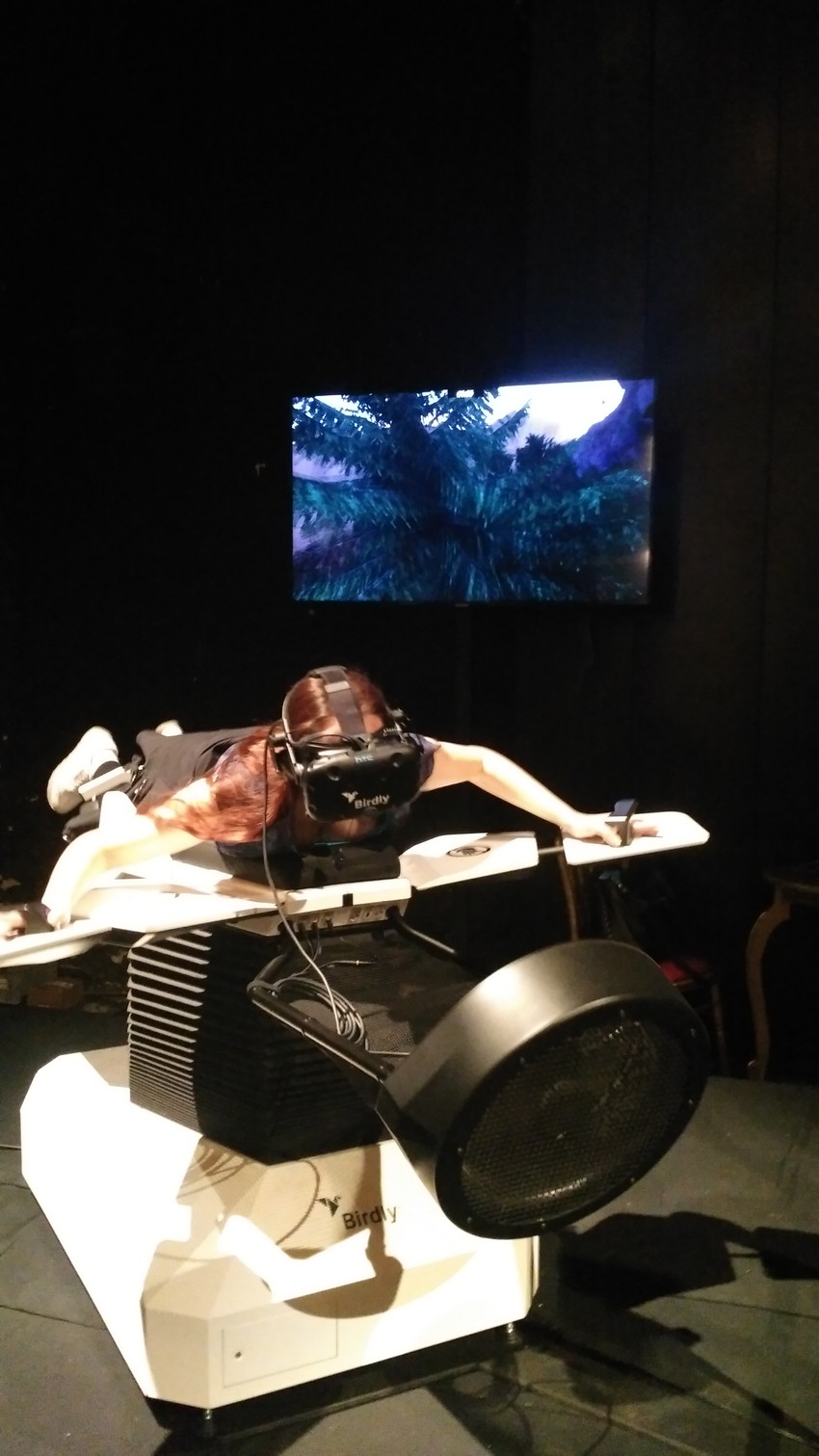 Moj prvi let se neslavno završio