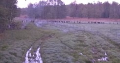 Szturm na polską granicę. Straż graniczna publikuje wstrząsające nagranie