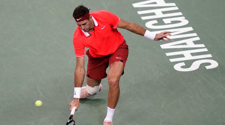  Del Potro /  Fotó: GettyImages