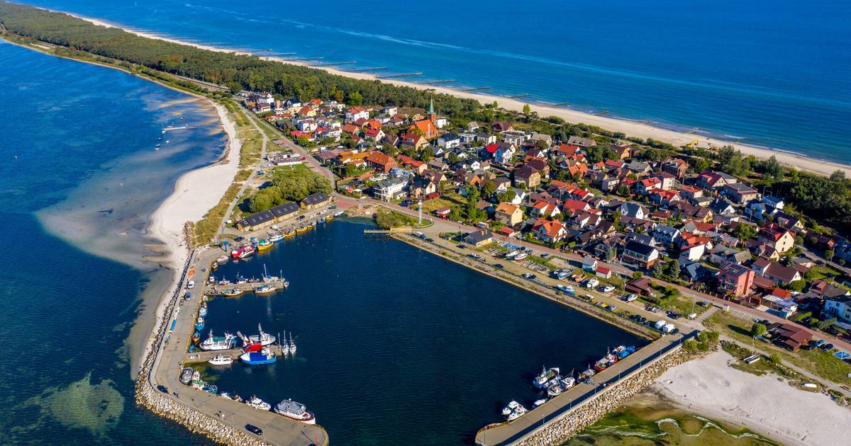 Nawet 600 drzew do wycinki na Helu. Mieszkańcy protestują, powstała petycja