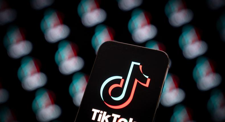 TikTok is Bytedance's most popular product, with over a billion users worldwide.Jaap Arriens/Getty Images
