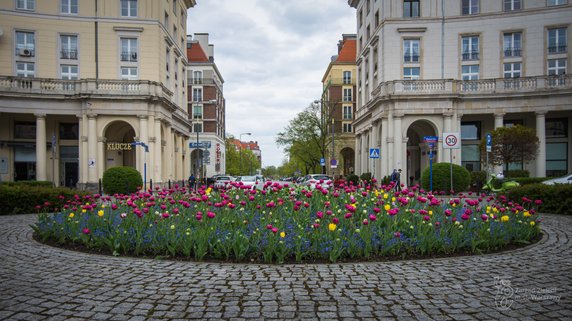 Warszawa: w ciągu dwóch lat posadzono blisko milion tulipanów. Teraz kwitną