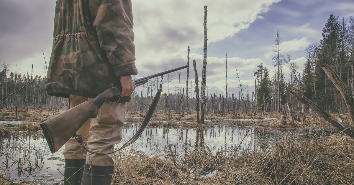 Zakaz polowań na 5 gatunków ptaków od 2 stycznia 2026. Zmiany w prawie