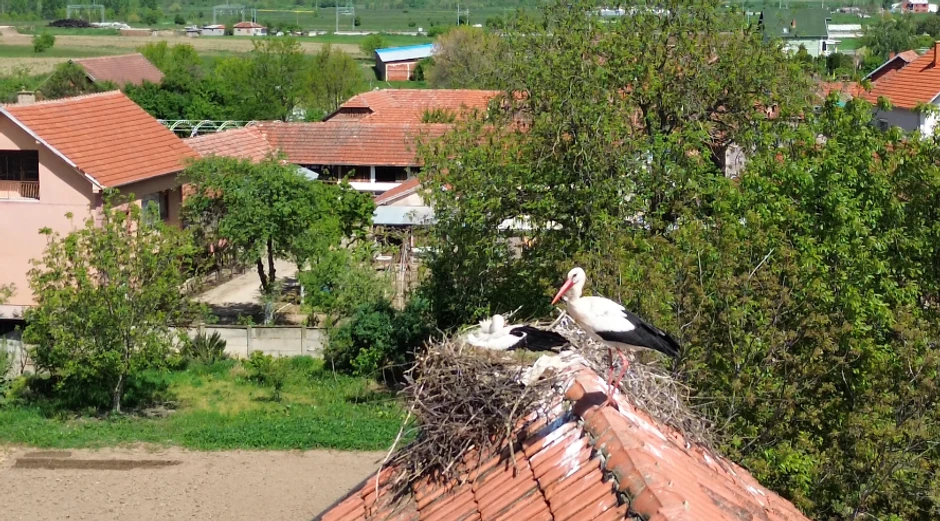 Rode u selu Donje Međurovo
