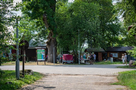 Białowieża