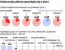 Elektronika dobrze sprzedaje się w sieci