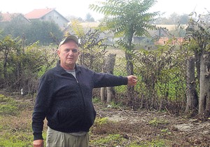 687526_novi-sad-272-miroslav-radisic-odlezao-pet-dana-u-zatvoru-zbog-nepokosenog-travnjaka-foto-miroslav-radisic