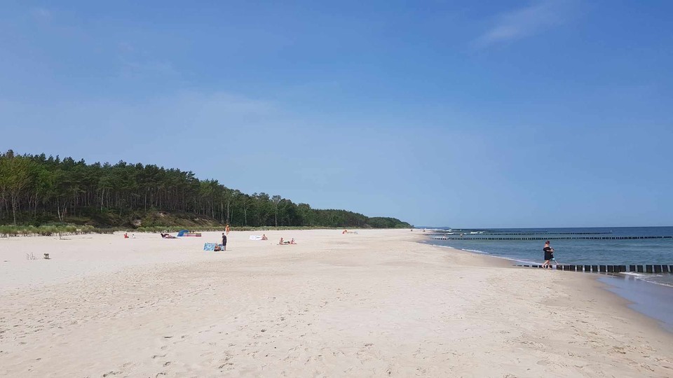 Psia plaża Kużnica