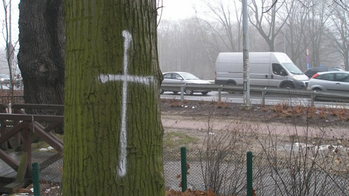 Namalowane spray'em krzyże pojawiły się m.in. na Ołbinie, przy Mostach Warszawskich czy w parku Zachodnim w pobliżu Kozanowa.