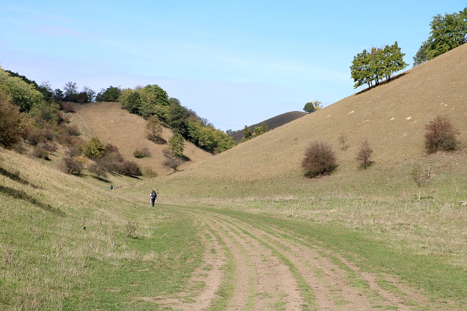 Deliblatska peščara predstavlja jedinstven ekosistem i mesto za posmatranje ptica