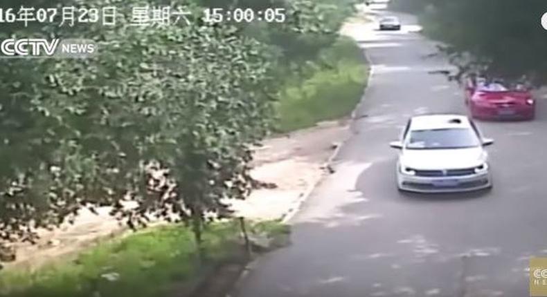 Tiger mauls woman to death in Chinese wildlife park