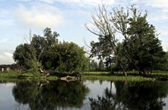 Tragedia w Piszu. Nie żyje jeden z żeglarzy porażonych prądem