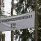 Puszcza Białowieska Protest ekologów z Greenpeace i fundacji Dzika Polska