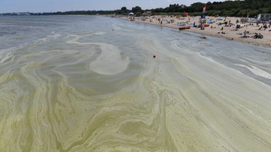 Sinice w Bałtyku. Kąpieliska w Brzeźnie i na Stogach otwarte