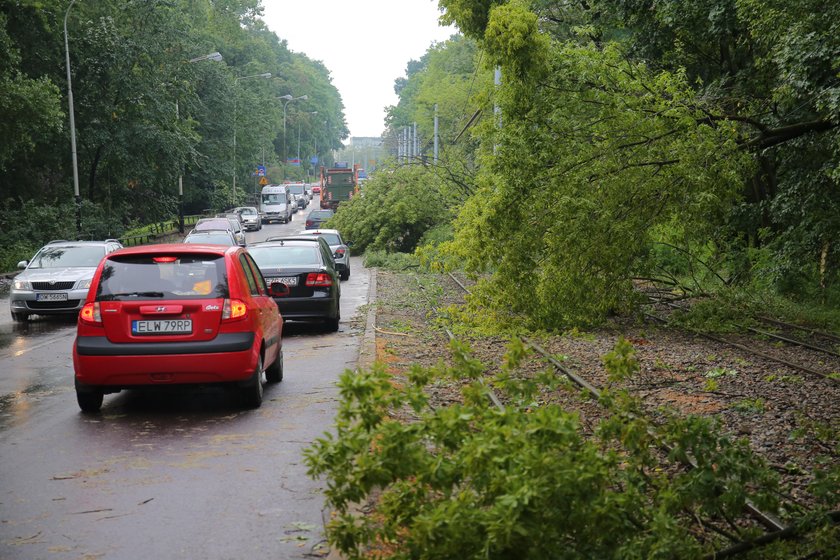 Krajobraz po nawałnicy w Łodzi. Powalone drzewa, zalane ulice...