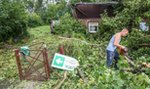 Animal Patrol zorganizował zbiórkę. Pomożesz?